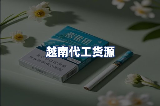 越南代工货源